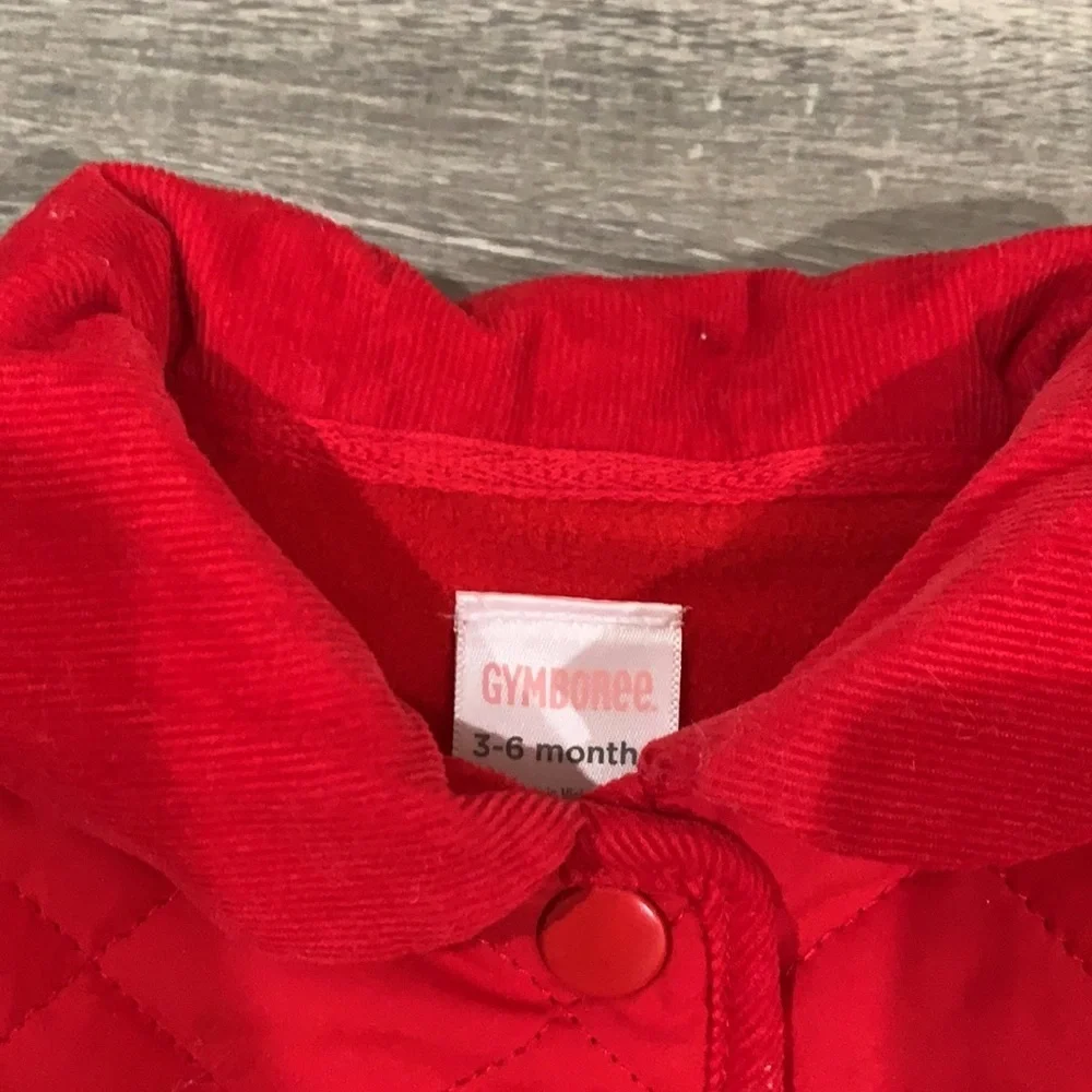 Gymboree Baby Girl Fashion Coat